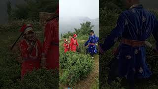 Tea Garden  Darjeeling music love song siliguri [upl. by Arait]