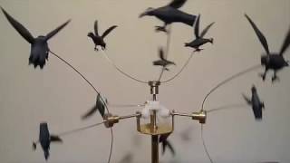 Johann Knopf a machine with whirling birds by Paul Spooner [upl. by Born]