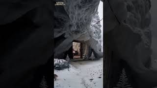 Living in a Rare Snow Cave with My Dog you must see snow dog fyp [upl. by Jeff]