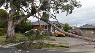 Over 370000 homes without power in Victoria [upl. by Kcid]