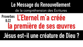 Fr Armando Jésus estil une créature de Dieu Message du Renouvellement [upl. by Eanil820]