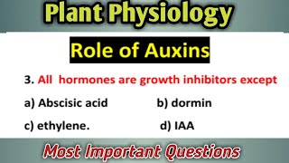 Plant Physiology MCQ  Auxin hormone Most Important Biology mcqs [upl. by Ottavia661]