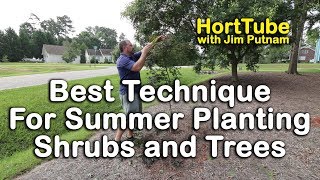 The Best Technique for Summer Planting Trees and Shrubs How to Plant in the Summer [upl. by Herm]