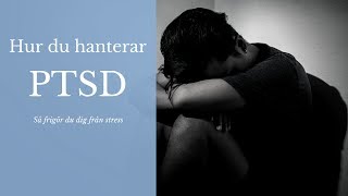 Hur du hanterar PTSD  Posttraumatisk stressyndrom Leo Eid [upl. by Hoy]