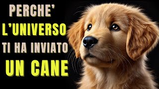 COME I CANI POSSONO GUARIRCI [upl. by Nwahsar]