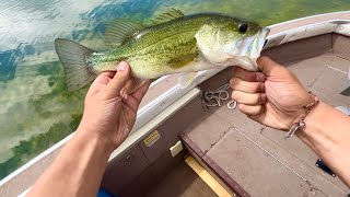 Fishing For Aggressive Early June Largemouth Bass [upl. by Clemente]