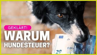 Warum bezahlen wir eigentlich Hundesteuer [upl. by Arnst]