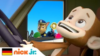 PAW Patrol  Die Welpen retten einen Affen  Nick Jr Deutschland [upl. by Eniamrehs]