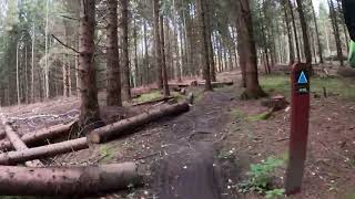 Gravel biking on the blue MTB trail in Store Dyrehave [upl. by Novelc]