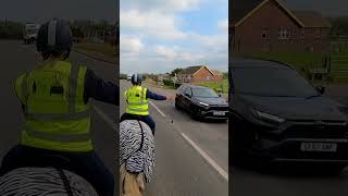 Zebra crossing of course duh… youngcob cob stables [upl. by Calie]