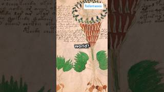 Voynich Manuscript 😮😮📖 facts mystry youtubeshorts trending history script voynichmanuscript [upl. by Enelrats69]