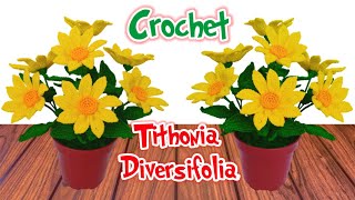 How to Tithonia Diversifolia Flowers Crochet Part 22 [upl. by Ijneb]