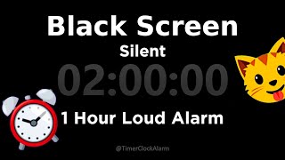 Black Screen 🖥 2 Hour Timer Silent  1 Hour Loud Alarm [upl. by Norab855]