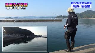 ItalianYAMASHITA SQUID Fishing EGING from Harbor EmbankmentquotHow to catch SQUIDquot explained [upl. by Shelagh644]