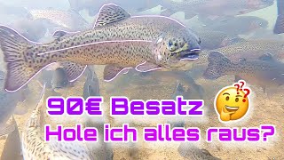 90€ Fischbesatz  Alleine am Weiher Was kostet mich der Fisch zum Schluss [upl. by Odelet]