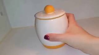 Does this thing really work Egg Tastic Ceramic Microwave Egg Cooker From Dollar Tree [upl. by Namrehs]