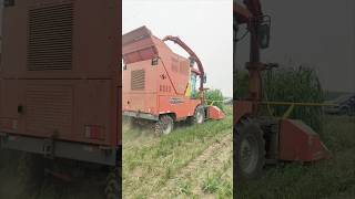 Forage harvesterMaize harvesterWheeled grass harvester [upl. by Ttelrahc]