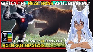 Vtuber Discovers The Power Difference Between Gorillas And Bears  Channie Reacts to TierZoo [upl. by Leinoto]