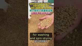 small business wheat flour mill with cleaning and washing partflourmill [upl. by Anabal]