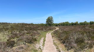 Wandelen over het Pieterpad  etappe 4  ZuidlarenRolde [upl. by Releyks]