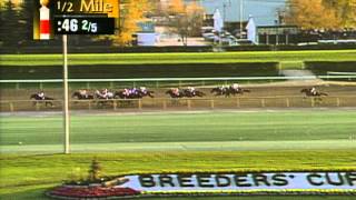 1996 Breeders Cup Classic [upl. by Yenitirb]