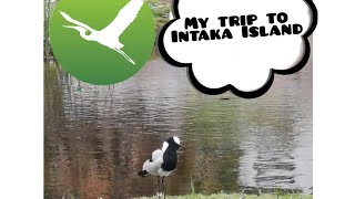 My trip to Intaka Island [upl. by Nettirb337]