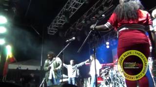 Lauryn Hill Damian Julian amp Stephen Marley Nine Mile Festival [upl. by Jegger]