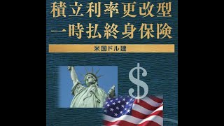 【第462回】ジブラルタ生命積立利率更改型一時払終身保険（米国ドル建）の満期からEIBを始めました。【埼玉県 不動産管理業 50代前半 女性】 [upl. by Benedikta479]