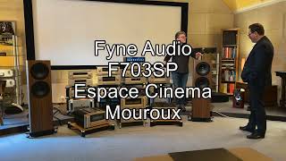 FYNE AUDIO F703SP [upl. by Adiuqram875]