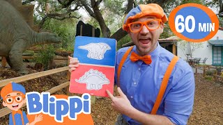 Blippi Explores The Dinosaur Natural History Museum  Educational Videos for Kids [upl. by Raimundo146]