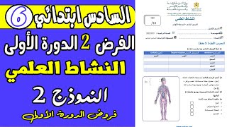 فروض المستوى السادس دورة الأولى الفرض الثاني الدورة الأولى مادة النشاط العلمي المستوى السادس نموذج2 [upl. by Silden593]