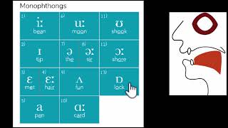 IPA chart with mouth positions  Fricatives Plosives Affricates Approximants  Tune Your English [upl. by Forras316]