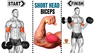 7 BEST SHORT HEAD OF BICEPS TO GET WIDTH ARMS [upl. by Neenaej829]