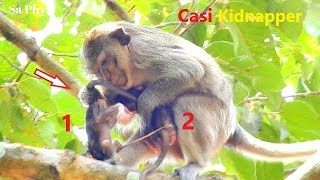 OMG Cruel Casi Kidnaps Newborn Just Gives Birth From Mom Casi Torture amp Drags Newborn On High Tree [upl. by Backler]