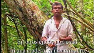 CONABIO Documentales  Cuidar la Selva y hacerla Producir  Si hay solución 67 [upl. by Avle493]