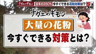 花粉の飛散量は過去10年間で最大！ 新規の発症者も増える可能性 「加湿器」「レースカーテン」で対策を 【ナガエのギモン】2023年2月24日 [upl. by Daiz]