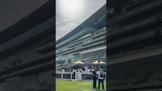 The most impressive racecourse in the worldhorse horseracing racingtv sport britishhorseracing [upl. by Rambert]