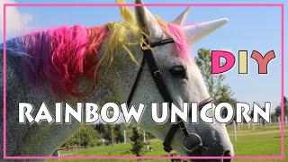 DIY Rainbow Unicorn ♥ REGENBOGEN EINHORN Tutorial [upl. by Alitta]