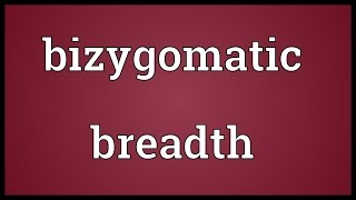 Bizygomatic breadth Meaning [upl. by Rosabella798]