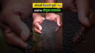 Sarso Ki Fasal में सही बीज दर क्यों है महत्त्वपूर्ण  Sarso Ki Kheti Kaise Karen sarso mustard [upl. by Zelazny]