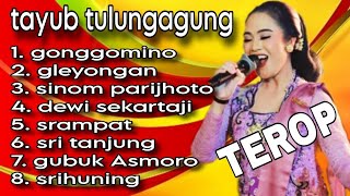 tayub tulungagung 2025  tayub terop live sumber makmur OKI [upl. by Vergne]