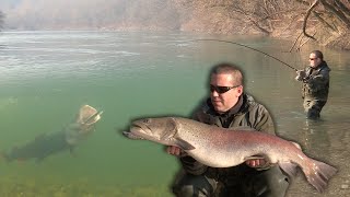 Pecanje mladice na reci Savi u Sloveniji 2  Varaličarenje  Hucho Hucho  Danube salmon [upl. by Nanny]