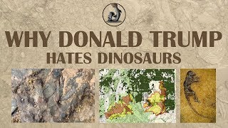 Why Donald Trump Hates Dinosaurs [upl. by Daisi]