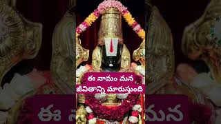 Yedukondala Vada venkataramana Govinda Govinda 🌺🌺 devotional venkateswarasongs venkateswara 🙏🙏 [upl. by Nevanod]