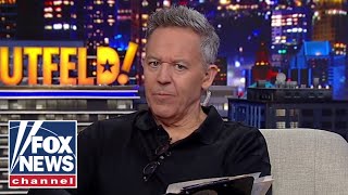 Gutfeld Democrats are panicking [upl. by Eelorac]