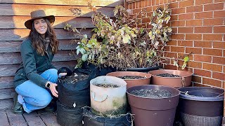 Overwintering Potted Plants🪴 I Use A Few Different Methods [upl. by Ellenrahc]