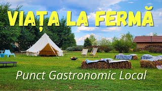 🧑‍🌾👩‍🌾 FERMA de FAMILIE care Hrănește Familii  FARMELY din Dragșina jud Timiș [upl. by Danialah]