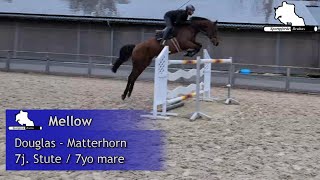 MELLOW  7j St v  7yo mare by Douglas  Matterhorn [upl. by Adamik]