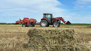 Making small square bales of horse hay [upl. by Ramsay]