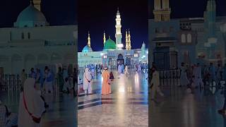 Maulana Tarikh Jameel Speech madina nabi live islamicsayings shorts ytshorts [upl. by Sanburn]